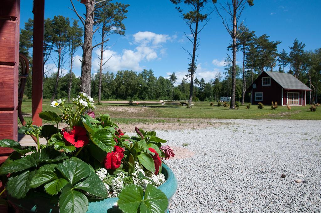 Tehumardi Camping Salme ภายนอก รูปภาพ